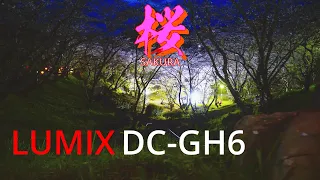 LUMIX DC-GH6『 桜SAKURA-2022-』