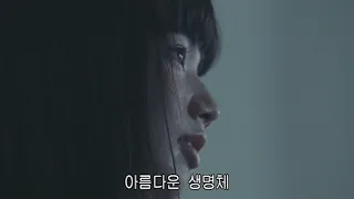 [Playlist] 아무것도 하기 싫을 때 듣기 좋은 팝송 모음