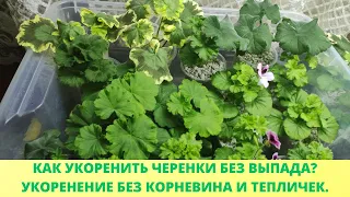 Обязательно укорените черенки этим способом. Черенок не вянет и не гниет.Способ укоренения дает 100%