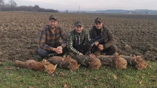 Lov predatora u Bođanskoj šumi/Predator hunt in Bođanska forest | E156