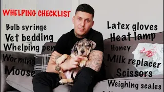 Everything You Need To Whelp A Litter Of XL BULLY Puppies ( CHECKLIST FOR A LITTER OF PUPPIES )