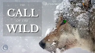 Sleep Audiobook:  The Call of the Wild by Jack London (Story reading in English)