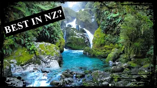 New Zealand's MILFORD TRACK "The FINEST Walk in the World?" 🇳🇿 Great Walks of New Zealand