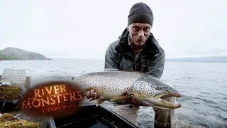 Encountering Super-Sized Brown Trout | TROUT |  River Monsters
