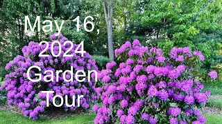 Garden Tour: May 16, 2024