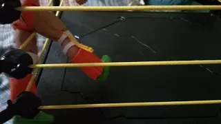 Revuing wwe/nxt breakable ring