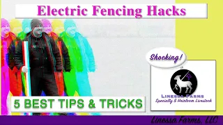 5 Best Electric Fence Hacks:  Affordable Simple Solutions