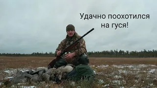 Удачная охота на гуся! Гусь попёр! Охота в Карелии!