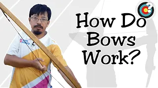Archery | How Do Bows Work?