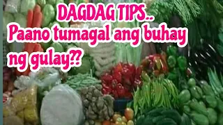 Paano mapanatiling sariwa ang gulay? #gulayantips #negosyotips #supertindera