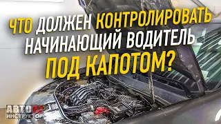 Что должен контролировать начинающий водитель под капотом?