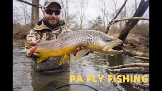 Fly Fishing Pennsylvania For Big Wild Trout