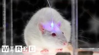 Optogenetics and Enhancing Brain Functions-A World Economic Forum Discussion-Ideas @Davos-WIRED