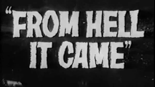 Trailer: From Hell It Came (1957)