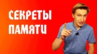 Секреты / Как быстро запомнить текст / Выучить любую информацию