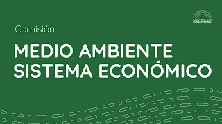 Comisión de Medio Ambiente N°45 - Convención Constitucional Chile - 11/02/2022 - (Parte 2).