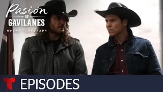 Pasión de Gavilanes, New Season | Episode 5 | Telemundo English