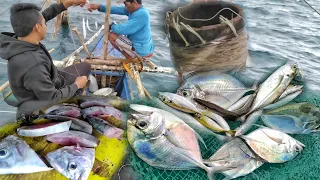 MGA PUTIAN NA ISDA ANG HULI SA PAG BIRA-BIRA.