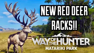 OMG RED DEER ON THE NEW WAY OF THE HUNTER MAP ARE GOING TO BE INSANE! WILD NEW ZEALAND RED STAG PIC!