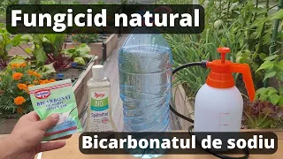 Fungicid BIO cu Bicarbonat de sodiu | Fungicid natural pentru legume