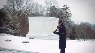 Guarding the Tomb of the Unknown Soldier