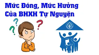 Mức đóng và mức hưởng của bảo hiểm xã hội tự nguyện | các chế độ của BHXH tự nguyện