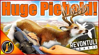 HUGE Piebald Whitetail on Revontuli Coast! | theHunter Call of the Wild