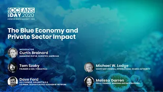 The Blue Economy and Private Sector Impact | United Nations World Oceans Day 2020