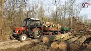 Forest Worker   Zetor 5211