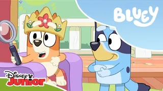 💙 Zabawa na całego z Blue i Bingo | Blue | Disney Junior Polska