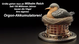 Seit 150 Millionen Jahren bauen die Vögel Orgon-Akkumulatoren!