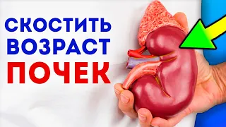 Благодарная чистка почек без лекарств и процедур! Про Здоровье