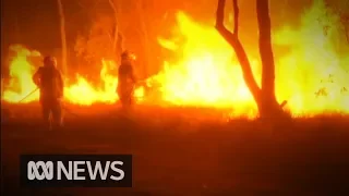 Queensland bushfires see 87 blazes raging across the state | ABC News