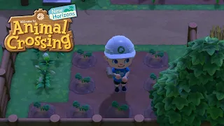 WIR PFLANZEN DAS LETZTE GEMÜSE! • 191 🏝️ Let's Play Animal Crossing: New Horizon [GERMAN/DEUTSCH]