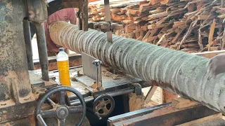 Efficient Techniques for Sawing Coconut Tree Trunks in a Sawmill
