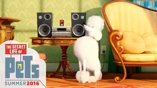 Meet Leonard   The Secret Life of Pets Teaser HD Animation