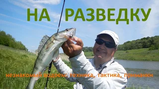 Ловля судака и окуня на спиннинг. Как искать рыбу на незнакомом водоеме? [Crazy Fish]