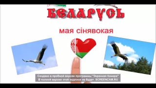 Беларусь мая сінявокая