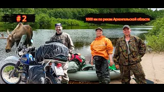 #2 Купающийся лось | Белки плавают! | 1000 км по рекам Архангельской области