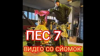 Пёс-7 эксклюзивные кадры со съёмок СЕДМОГО СЕЗОНА 2021!