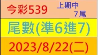 今彩539 『尾數(準6進7)』上期中7尾【2023年8月22日(二)】肉包先生