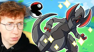 Patterrz Reacts to "I Completed the National Pokedex in Pokemon Black 2"