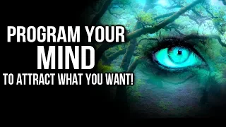 How to REWRITE Your Internal Programs to Attract What You Want! POWERFUL Law of Attraction Exercise