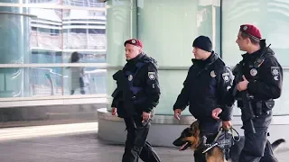Наркотикам – НІ: в аеропорту «Бориспіль» запрацювали нові поліцейські наряди
