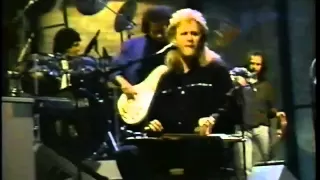 Jeff Healey - While My Guitar Gently Weeps (Live)