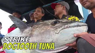 Berburu Ikan Monster Di Laut Sangatta | MANCING MANIA STRIKE BACK (12/08/23) Part 1