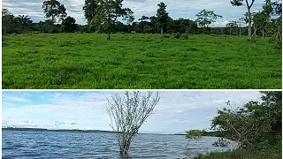 Fazenda Rancho Fundo a venda em Vitória do Xingu Pará...80 mil o alqueire