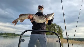 Рыбалка в Финляндии.Fishing in Finland.82 хвоста.5 видов рыб.   Щука на 8кг.Супер !!!