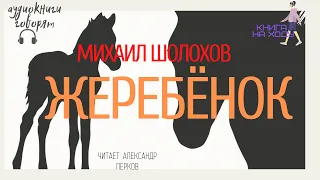 Шолохов Жеребенок аудиокнига