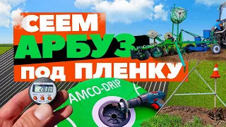 Сеем арбуз под пленку 🌱🍉🚜 26 04 23